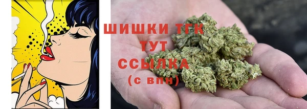амф Губаха