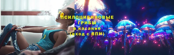 крисы Рославль