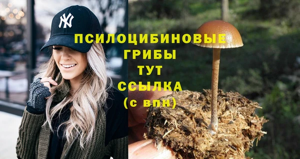 кристаллы Ростов