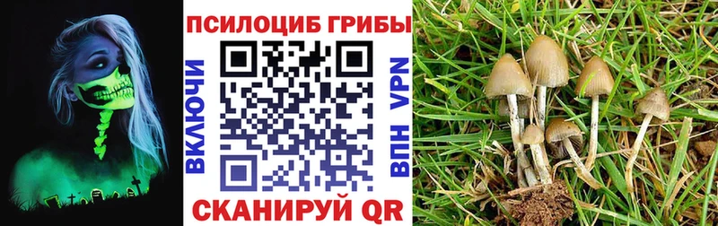 Псилоцибиновые грибы MAGIC MUSHROOMS где продают наркотики Ак-Довурак